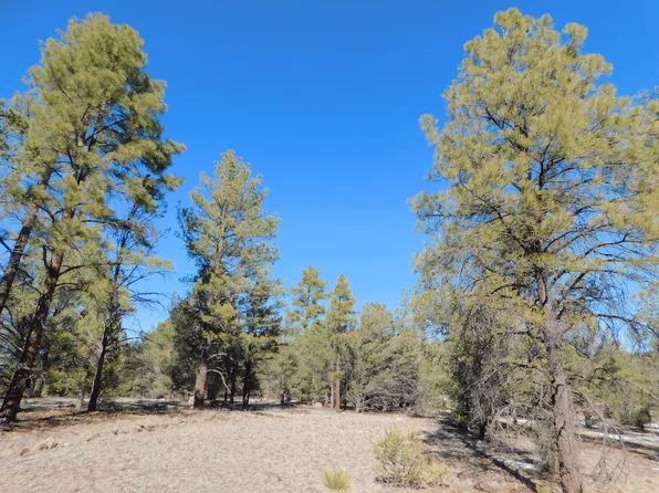 A 7 Lakeview Dr, Quemado, NM 87829