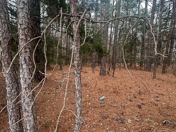 5th image of 16.9 Ac Hwy 220 E