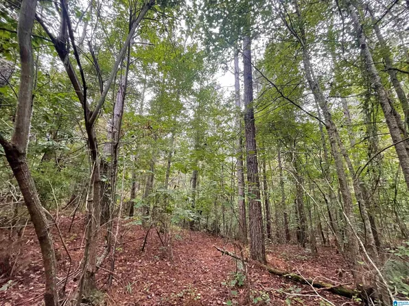 County Road 15, Wadley, AL 36276