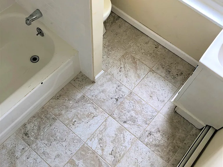 247 Green Ln — Photo 11