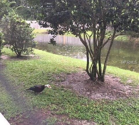 4th image of 4134 Bismarck Palm Dr
