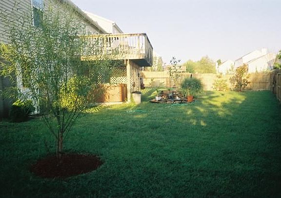 backyard with view of Willow Tree