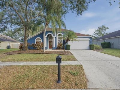15207 Arbor Hollow Dr, Odessa, FL, 33556