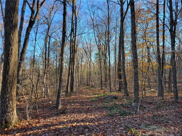 Lot 4 Browns Road, Mansfield, CT 06250