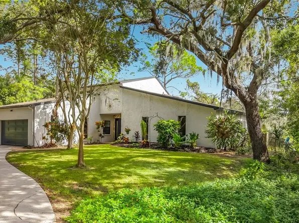 12805 TWIN BRANCH ACRES RD, TAMPA, FL 33626