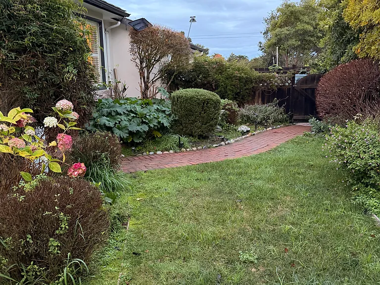 Front Yard