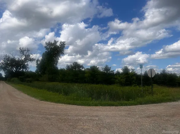 0 Joshua Rd, Cass City, MI 48726