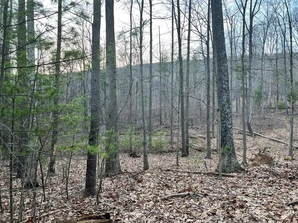 0 Golden Rod Ln, James Creek, PA 16657