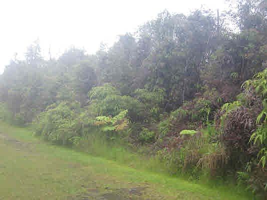 2nd image of 11-1817 Kolea St Lot 33