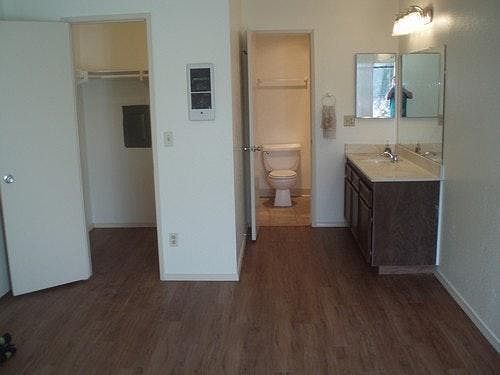Vanity & Walk-in Closet