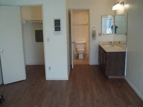 Vanity & Walk-in Closet