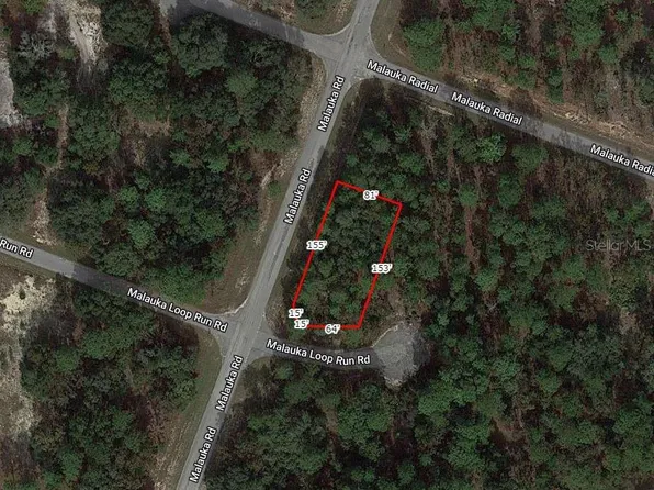 Maluka Loop Run Rd Lot 20, Ocklawaha, FL 32179
