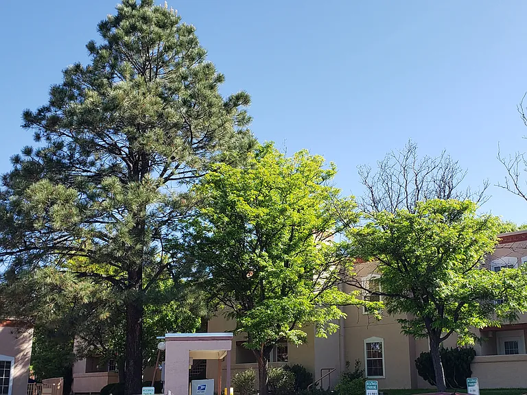 Mature trees abound, proving a park-like setting.