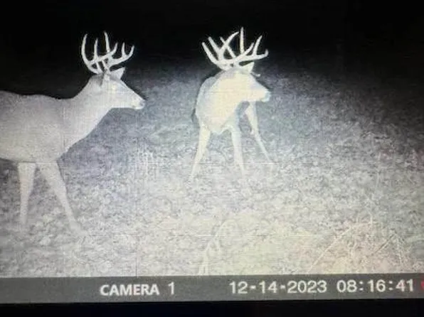 1999 Native Rd, Fort Scott, KS 66701