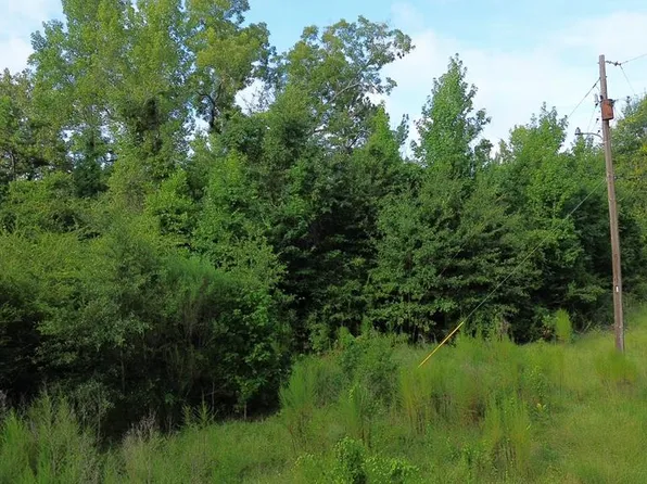 County Road 520 Fm 1013 W, Kirbyville, TX 75956