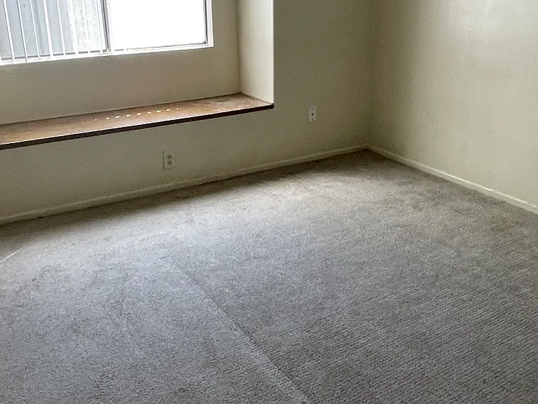 707 S Webster Ave — Photo 13