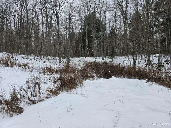 Us Highway 2, Iron River, MI 49935