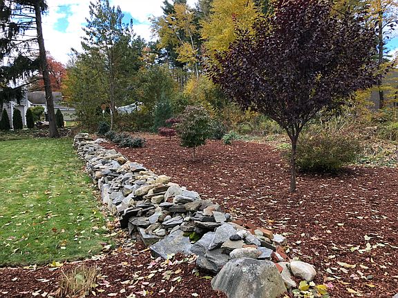 Large spacious back yard