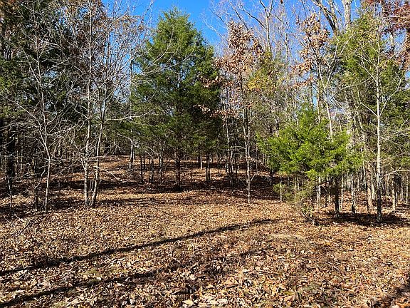 4th image of 735 Old Highway 53 S