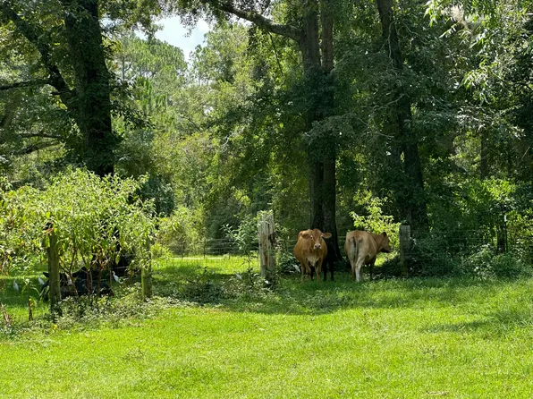 Lots 7 8 Bullard Rd, Milton, FL 32570