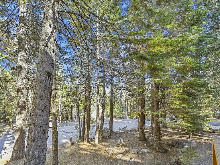 325 Snowbird Loop — Photo 39