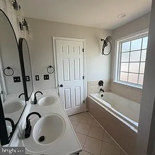 100 Sand Dollar Cv — Photo 17