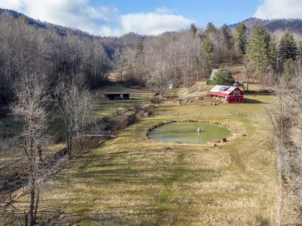 49 Pokeweed Ln, Leicester, NC 28748