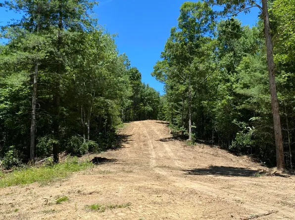 Jurgens Rd, Robbins, TN 37852
