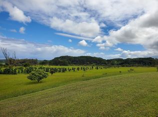29-2703 Kaiwiki Homestead Rd, Hakalau, HI 96710