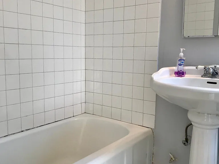 Bathtub and Shower in Guest Bathroom
