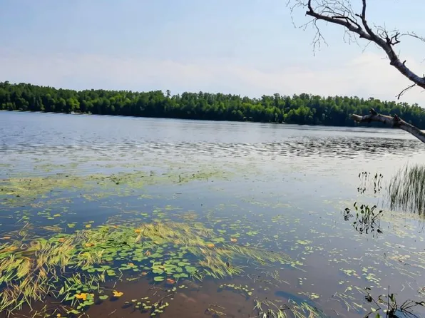 On W AMBER LAKE ROAD Lot 1, Lac Du Flambeau, WI 54538