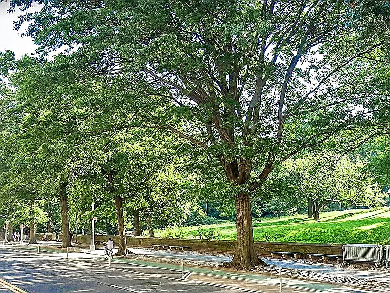 476 Central Park W #5 — Photo 11