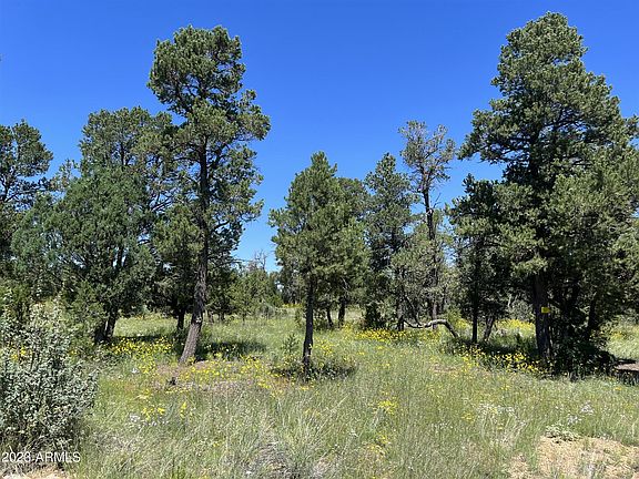 2nd image of 5209 Twin Oaks Loop