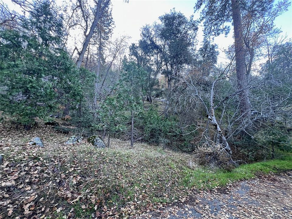 1st image of 0 Snowy Creek Way