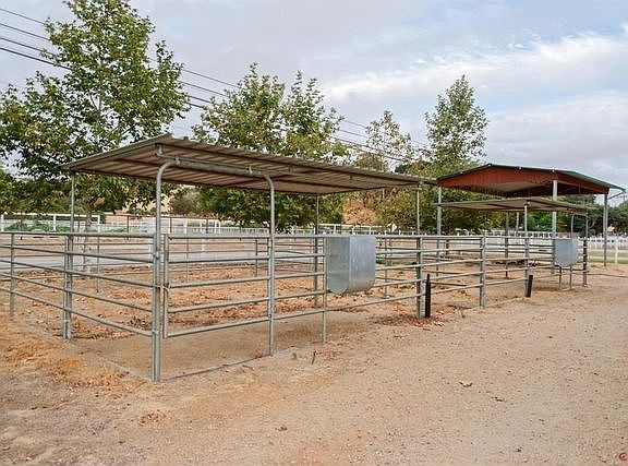 Covered paddocks and six fenced irrigated pastures