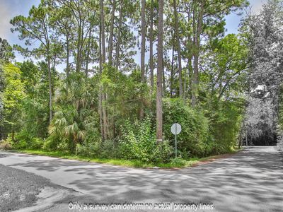 1093 Collier Blvd, Saint Augustine, FL, 32084