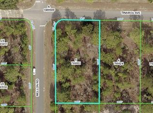 11304 Tinamou Ave, Weeki Wachee, FL 34614