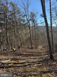 LOT 55 Moreland Gap Rd, New Market, VA, 22844
