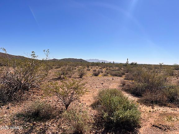 2nd image of 31 W Carlise Rd #105