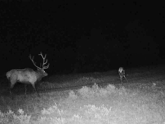 4th image of 2703 S Pompeys Rd