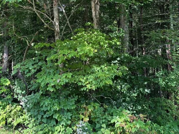 Lot 222 Dry Stack Way, Cashiers, NC 28717