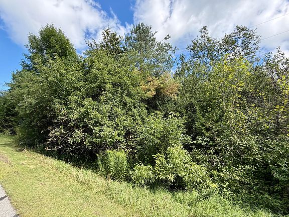3rd image of 3181 Canton Rd