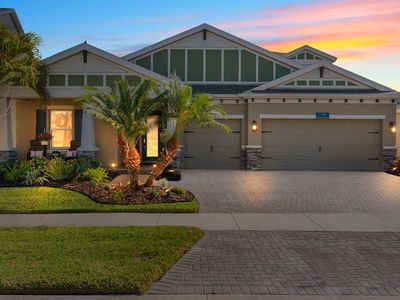 7328 PARADISO DRIVE, Apollo Beach, FL, 33572