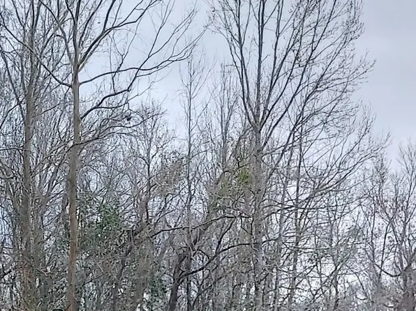 LOT-64B Odessa Dr, Baton Rouge, LA 70811