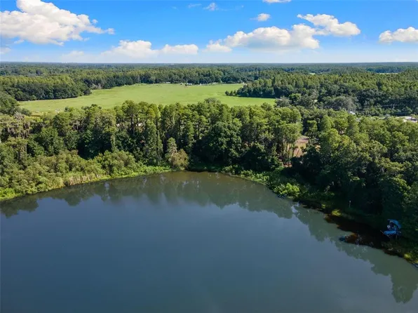 18117 BOY SCOUT ROAD, ODESSA, FL 33556
