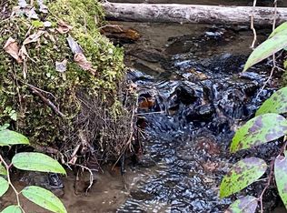 0 Carringer Rd, Robbinsville, NC 28771