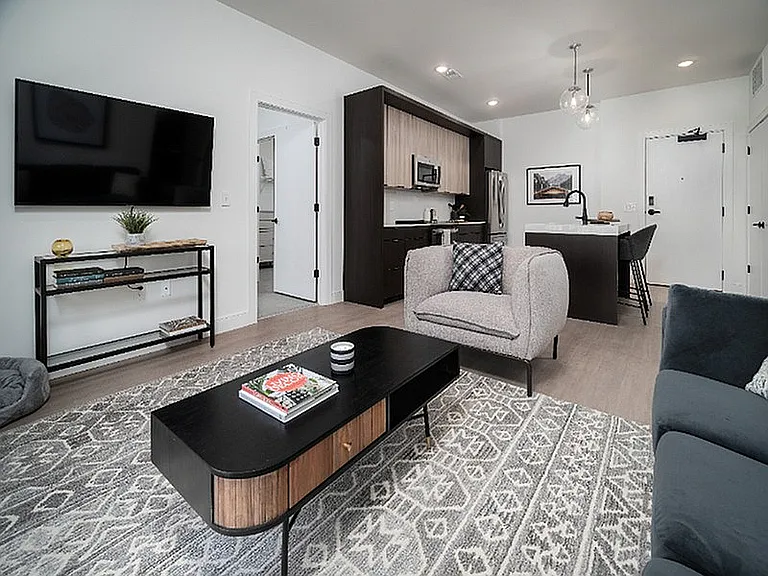 Living Room & Open Kitchen
