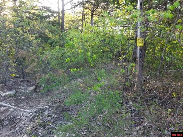 Lots 12/13 Cres #36, Clarkridge, AR 72623