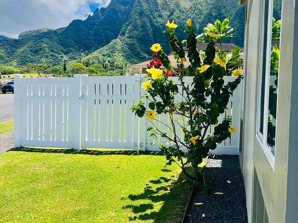 Koolau Mountain backdrop from front of home