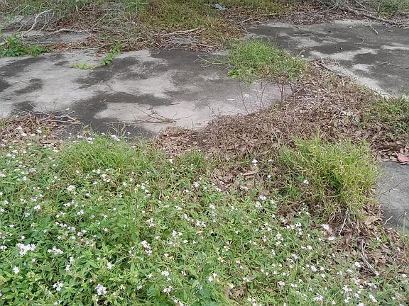 4th image of 5945 SE 95th Trl